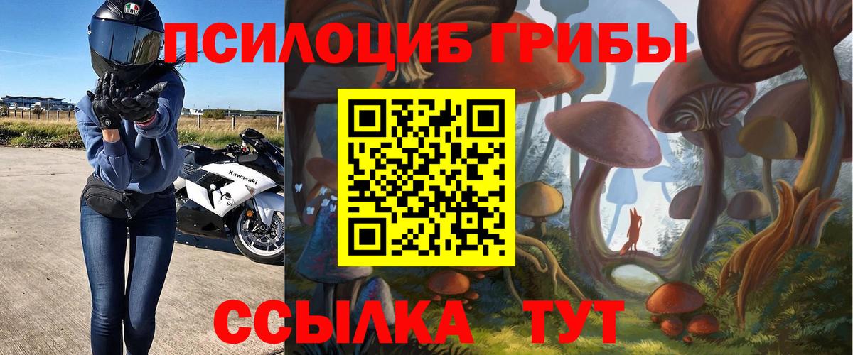 Галлюциногенные грибы ЛСД Родники